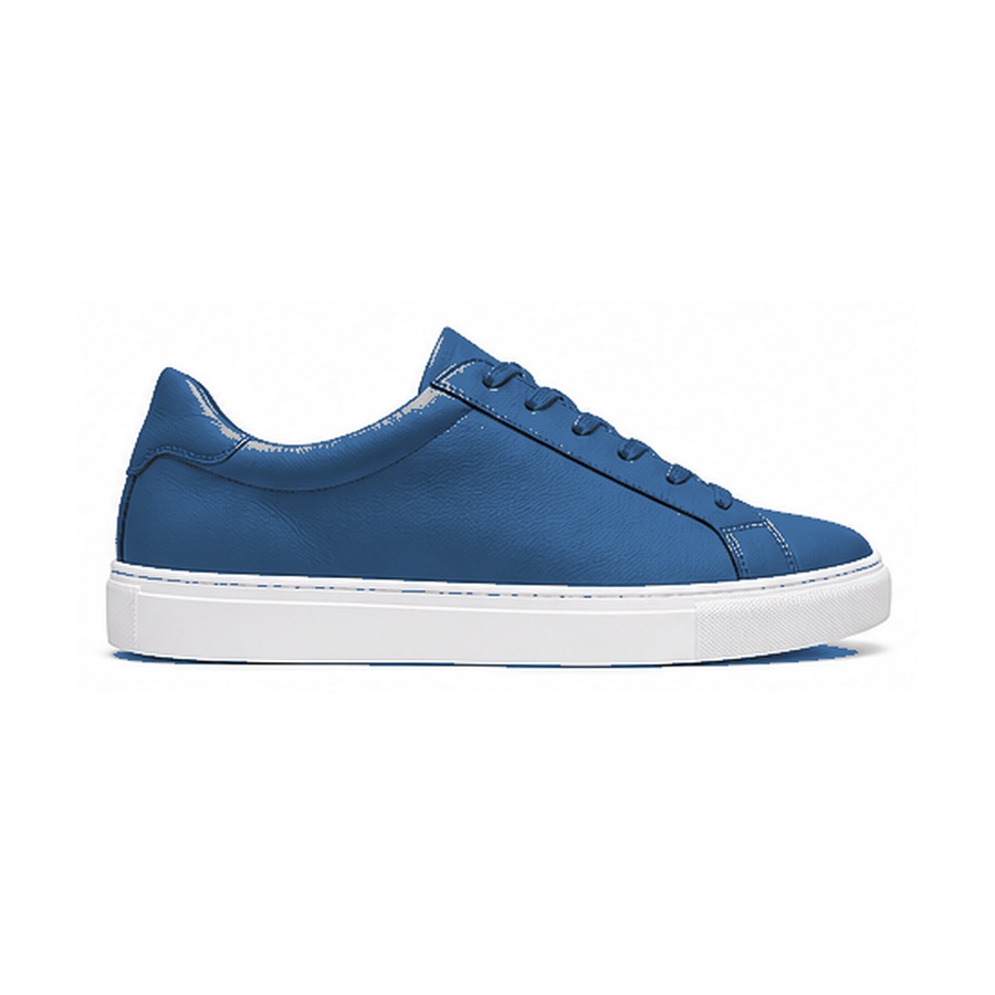 Retro Court Low